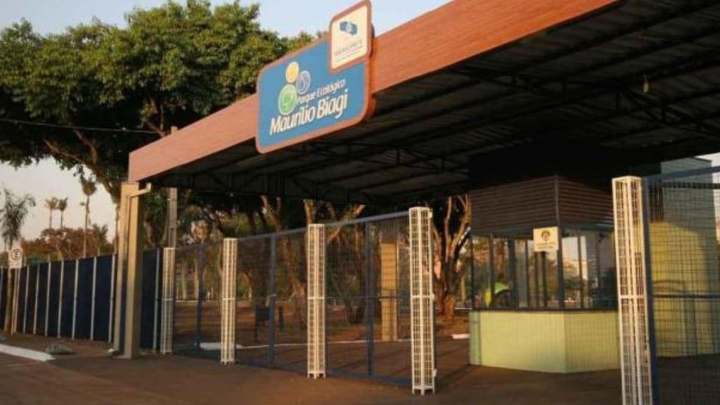 Parque Maurílio Biagi recebe ação gratuita de esportes neste sábado em celebração ao Dia Internacional do Esporte