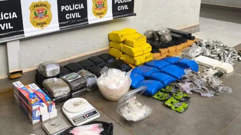 Operação apreende mais de 66 kg de drogas em ação da Polícia Civil na região