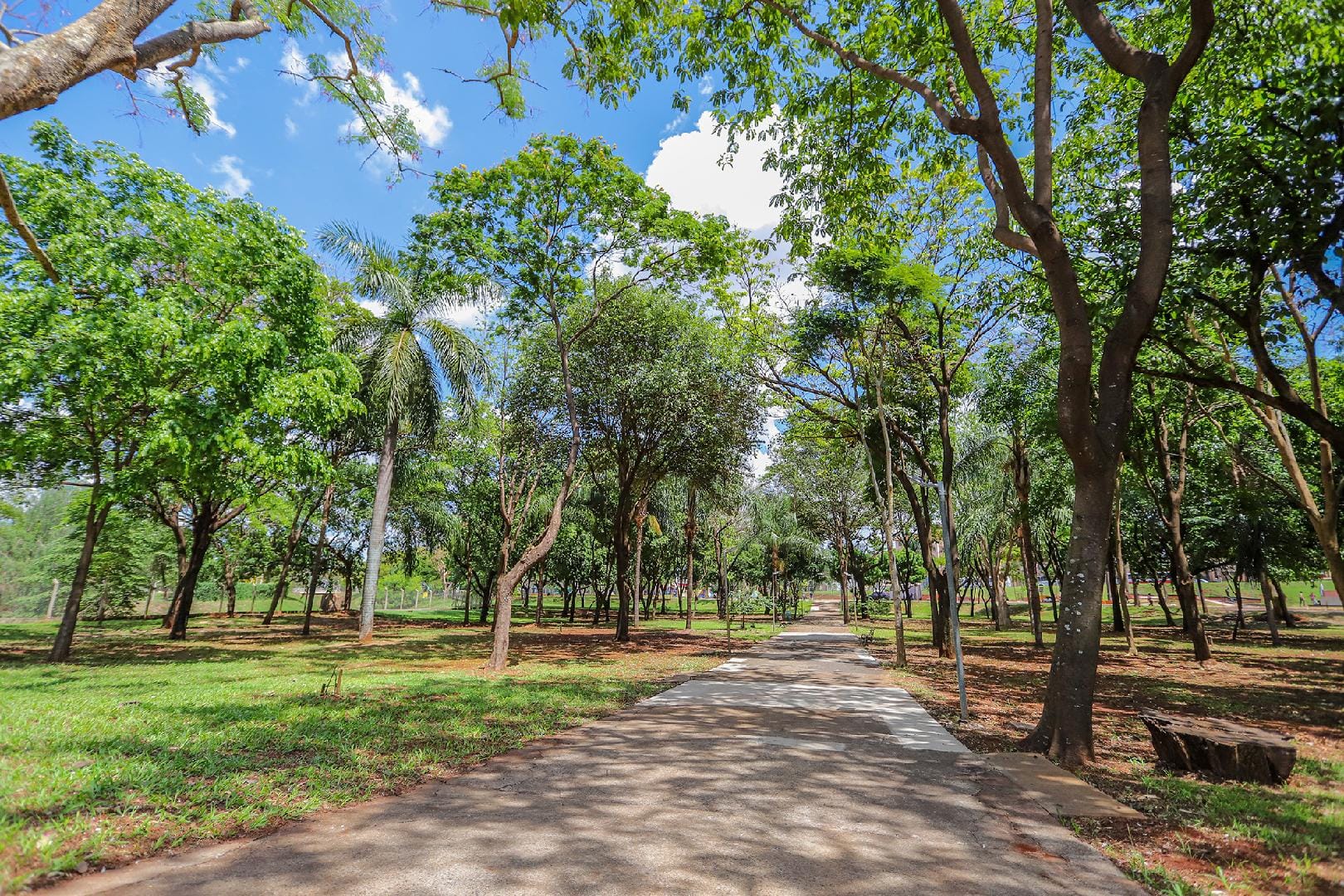 Prefeitura lança programa RP + Verde para fortalecer parcerias na manutenção de áreas verdes