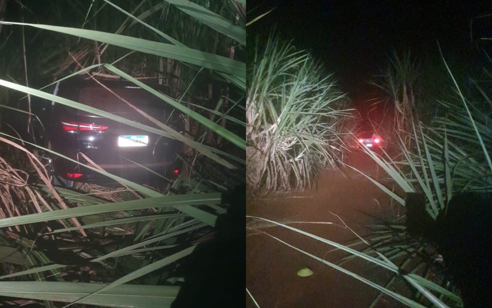 Três mortos após troca de tiros com Baep em canavial após furto de caminhonete em Ribeirão Preto