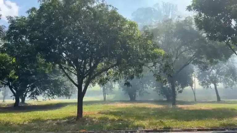 Queimada próxima à rotatória da Virgílio Soeira interditou rua e mobilizou bombeiros em Ribeirão Preto