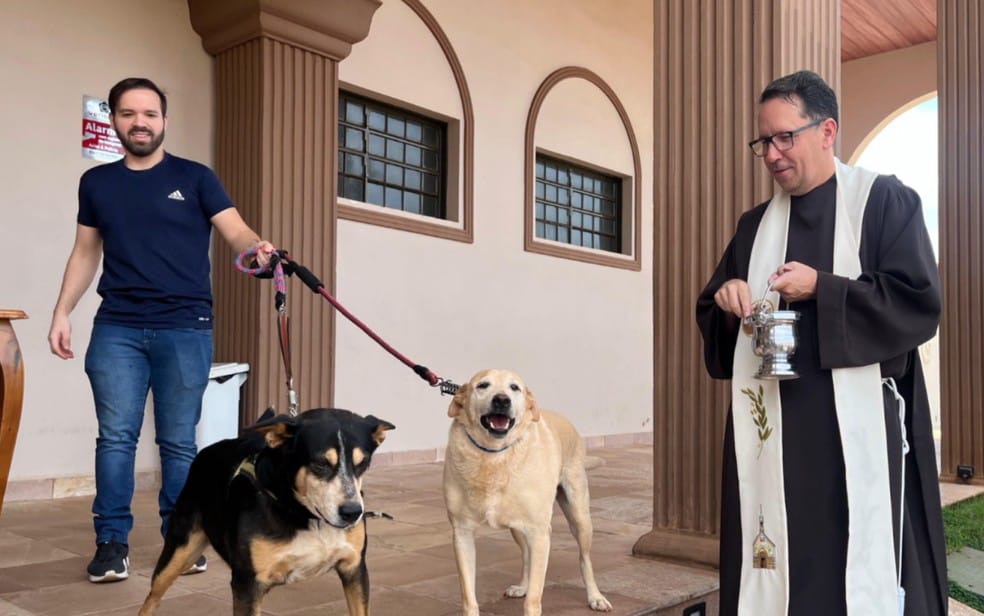 Cachorro que vivia em paróquia de Serrana é encontrado morto após segundo envenenamento