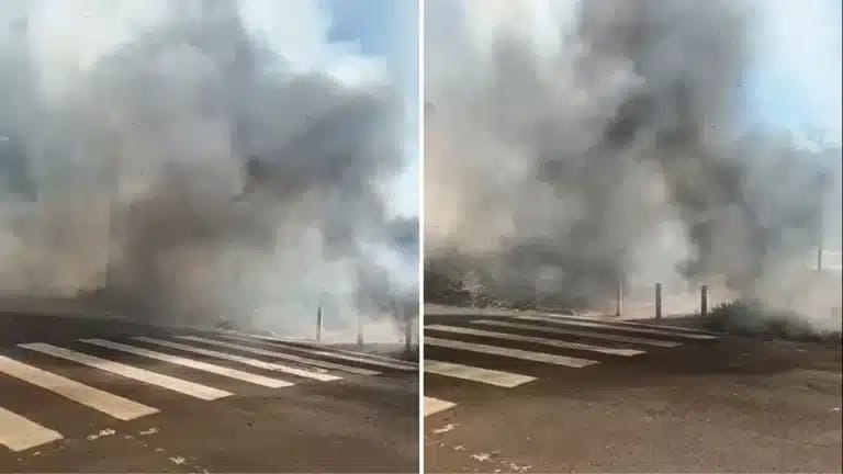 Incêndio em vegetação assusta moradores do Planalto Verde em Ribeirão Preto