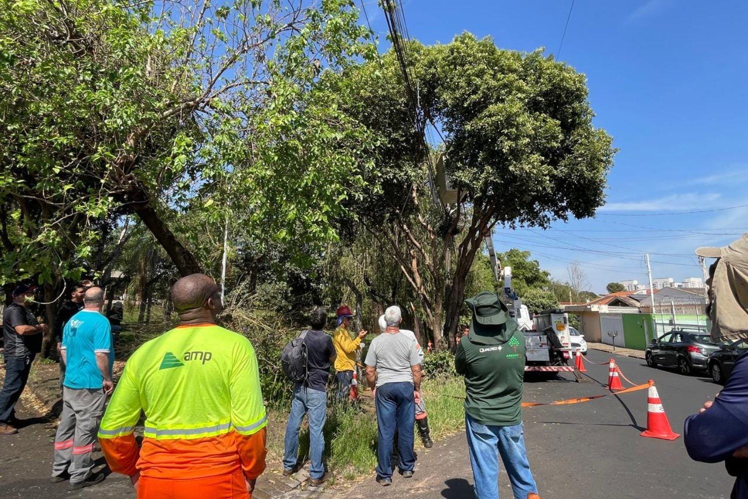 Prefeitura credencia 62 podadores para reforçar manejo das árvores na cidade