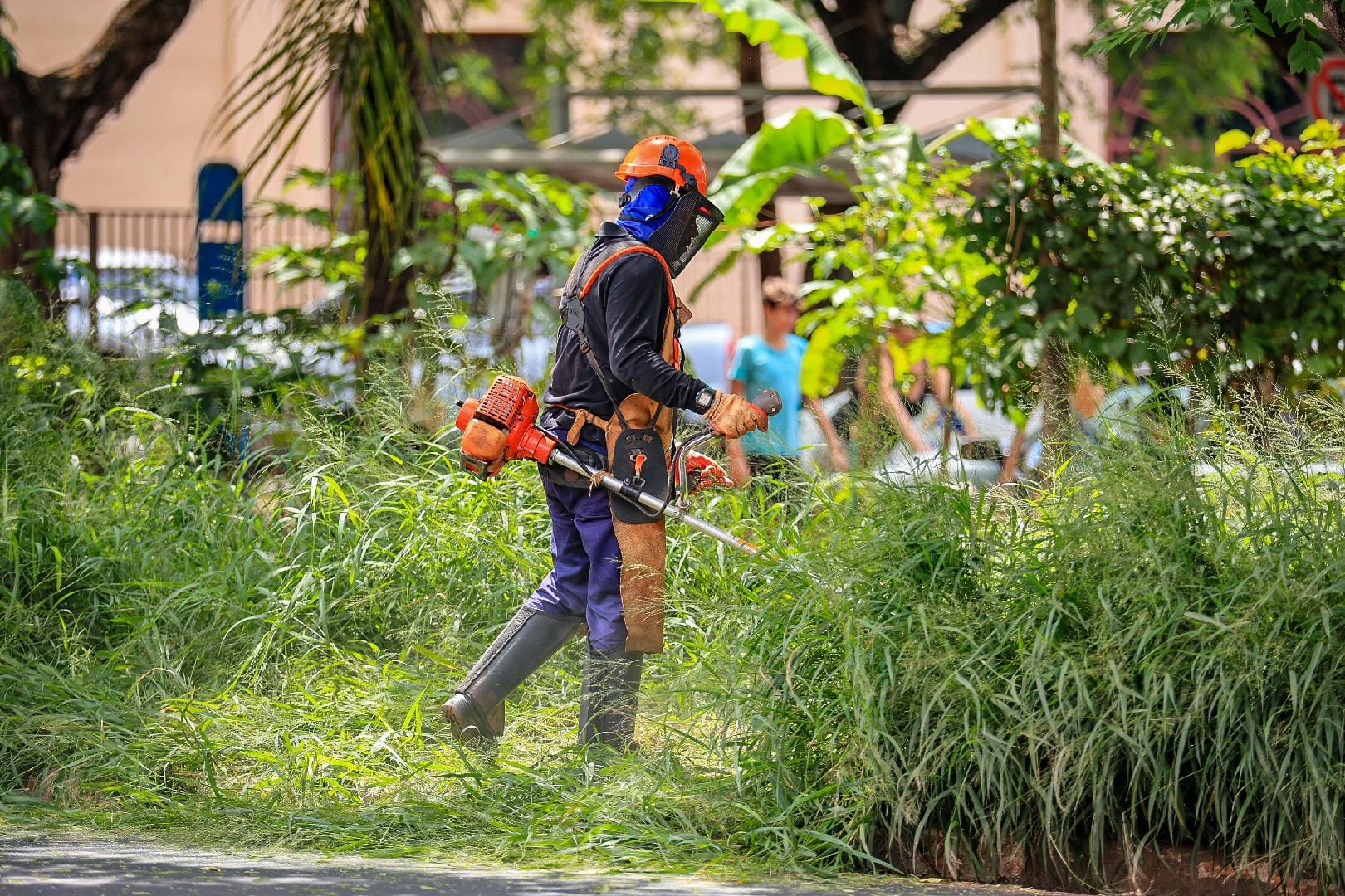 Prefeitura intensifica roçada e avança na região Norte; Oeste será atendida em breve