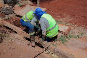 Bonfim Paulista Recebe Limpeza De Bocas De Lobo