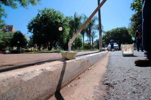 Ações De Zeladoria Em Todas As Regiões Da Cidade