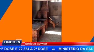 Policia Encontra Drogas Em Ribeirão E Araraquara