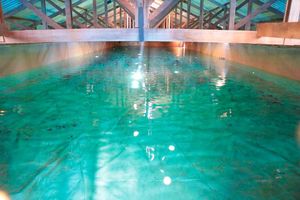 Hoje É O Dia Mundial Da Água