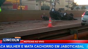 Grave Acidente Na Armando Sales Oliveira Em Sertãozinho