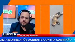 Macaco Prego Atropelado Próximo Ao Shopping Iguatemi