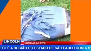Peixe Com Mais De 30 Kg Foi Pego No Centro De Jaboticabal