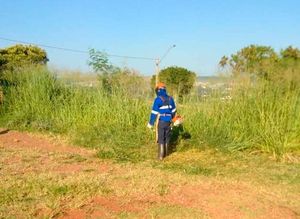 Daerp Promove Limpeza E Roçada De 150 Unidades No Primeiro Semestre