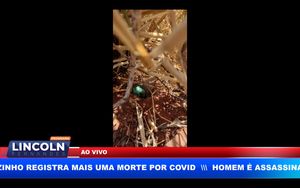 Empresário Desconfia De Furto De Combustível, Instala Rastreador Em Um Galão E Descobre O Esquema