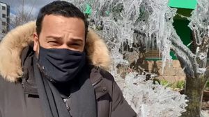 Lincoln Fernandes Mostra Árvore De Gelo Em Santa Catarina