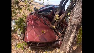 Bandido Em Fuga Perde Controle Da Direção E Carro Abraça Árvore