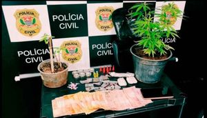 Dise E Goe Realizaram Operação De Combate Ao Tráfico De Drogas  Em  São Carlos