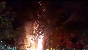 Figueira Incendiada Teve Que Ter Boa Parte Podada Devido Ao Comprometimento De Sua Estrutura