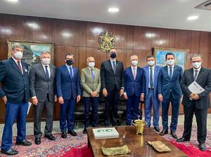 Frente Nacional De Prefeitos, Conectar E Opas Traçam Colaboração Para Ampliação Do Acesso À Saúde No Brasil