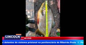 Polícia Ambiental Flagra Pescadores Em Estreito Realizando Pesca Proibida