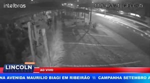 Motorista Derruba 2 Postes E Uma Floricultura Na Avenida Maurilio Biagi Em Ribeirão