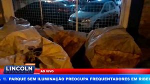 Acidente Misterioso Com Pickup Que Transportava Bags Com Papelões
