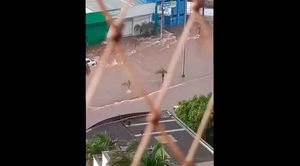 Chuva Forte Em Uberlândia Arrasta Carros E Levanta Asfalto