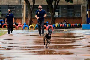 Canil Da Gcm Completa Cinco Anos