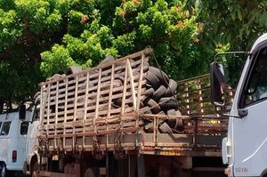 Mutirão Retira Mais De 4,3 Toneladas De Possíveis Criadouros Do Mosquito Da Dengue