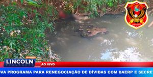 Notícias De Sertãozinho, Pitangueiras E Toda A Região