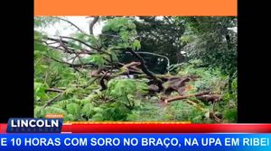 Árvore Cai E Fecha Acesso A Bonfim Paulista