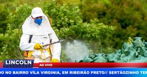 Câmara Aprova Texto Base De Projeto De Lei Que Facilita Autorização De Agrotóxicos E Pesticidas