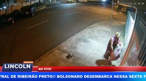 Ladrões Furtam Gansa Na Zona Norte De Ribeirão Preto