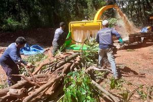 Compostagem Do Bosque Zoo Fábio Barreto Ganha Reforço Com Picador De Troncos E Galhos
