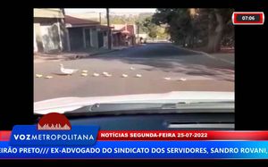 Família De Patos Sai Para Passear E Param O Trânsito Em Bonfim Paulista