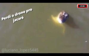 Jacaré Salta De Rio, Abocanha Drone De R$ 7 Mil E Surpreende Pescador Em Tocantins