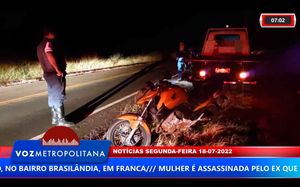 Motociclista Morre Ao Atropelar Tamanduá Em Rodovia Entre Franca E Ibiraci