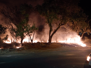 Corpo De Bombeiros Controla Fogo Criminoso Em Matão
