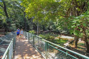 Bosque Ficará Fechado Para Manutenção Nesta Quarta-Feira, 3 De Agosto