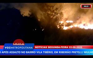 Incêndio Em Mata Na Rodovia Carlos Tonani