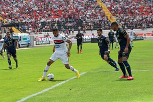 Botafogo Tropeça Em Casa Na Série C