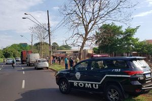 Divisão Bem-Estar Animal E Gcm Resgatam Animal