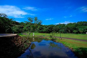 Meio Ambiente Termina 2022 Com Balanço Positivo