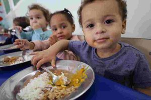 Alimentação Escolar Saudável E Adequada É Um Direito Dos Estudantes