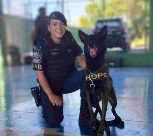 Canil Da Gcm Encerra Ciclo De Apresentações Em Parceria Com Escola Estadual De Ribeirão Preto