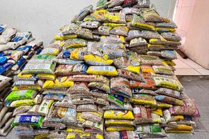 Fundo Social De Solidariedade Arrecada Alimentos Nos Shows Da Banda Nx Zero