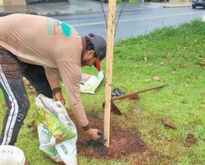 Horto Municipal Distribui Mudas Durante A 22ª Feira Nacional Do Livro De Ribeirão Preto