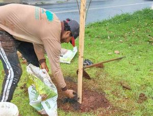 Meio Ambiente comemora Semana da Árvore com atividades para conscientização e preservação ambiental