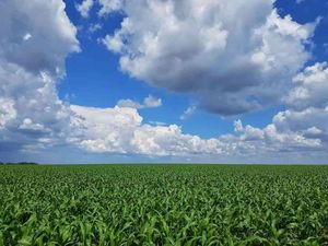 Proprietários de áreas rurais têm até o final de setembro para declarar o ITR