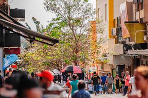 Ribeirão Preto tem aumento de mais de 80% na geração de empregos em outubro